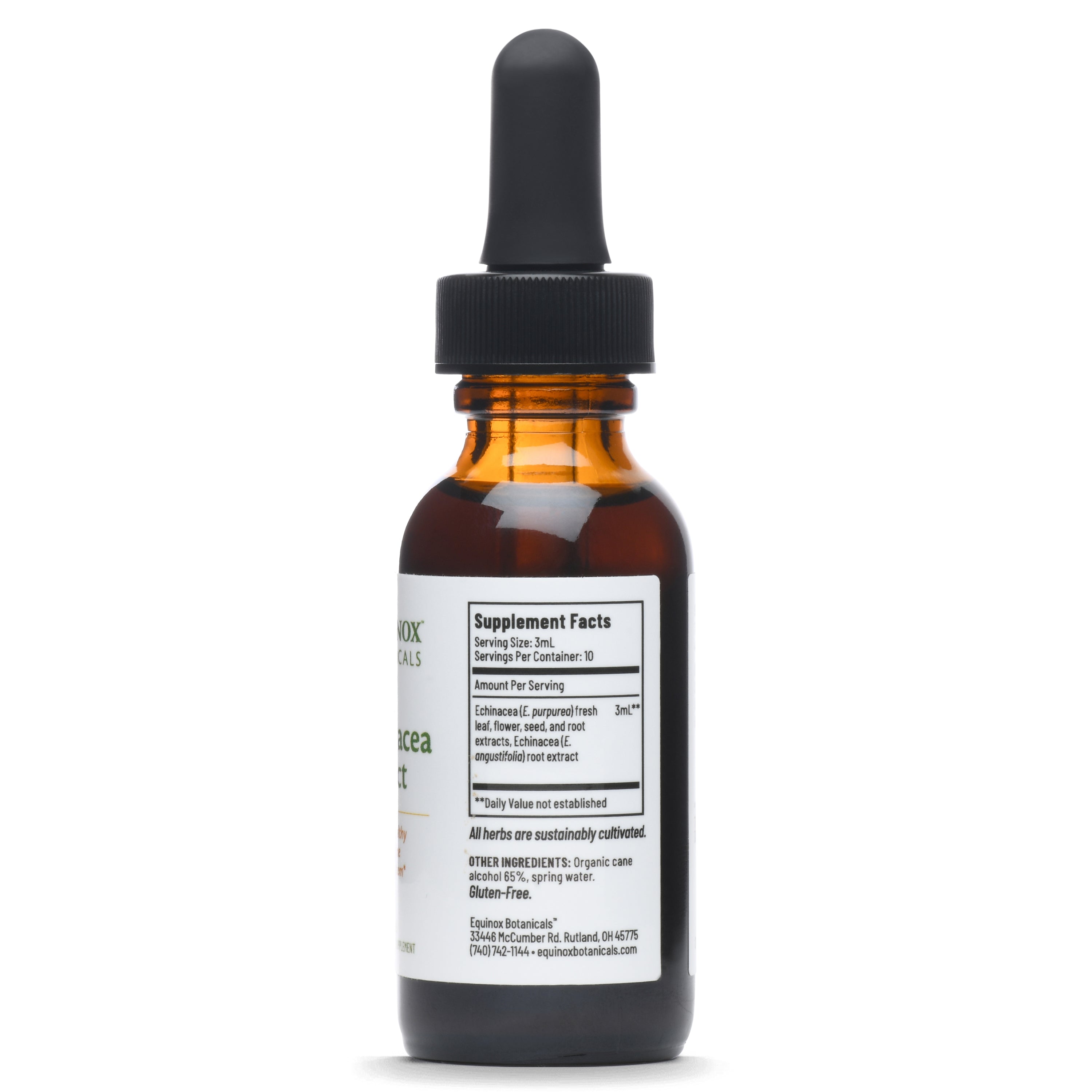 Echinacea Extract 1 oz &amp; 2 oz – Equinox Botanicals