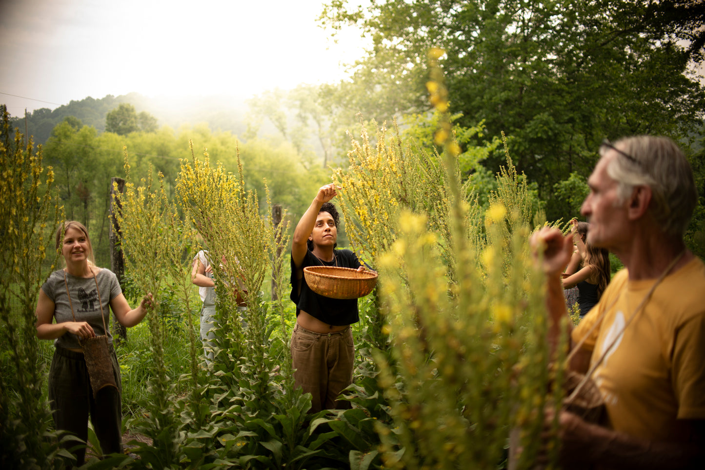 Equinox Botanicals