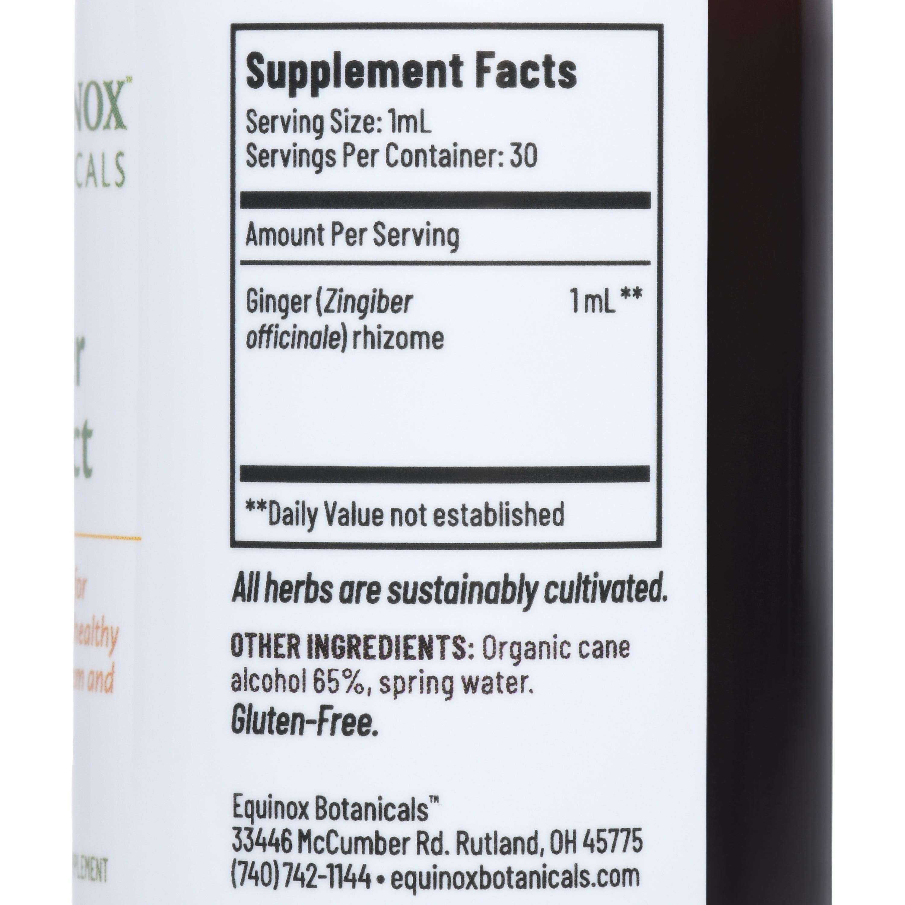 「INGREDIENTS」 LTJ BUKEM Organic Immune Zoom®, Elderberry Echinacea, Caffeine Free, 16