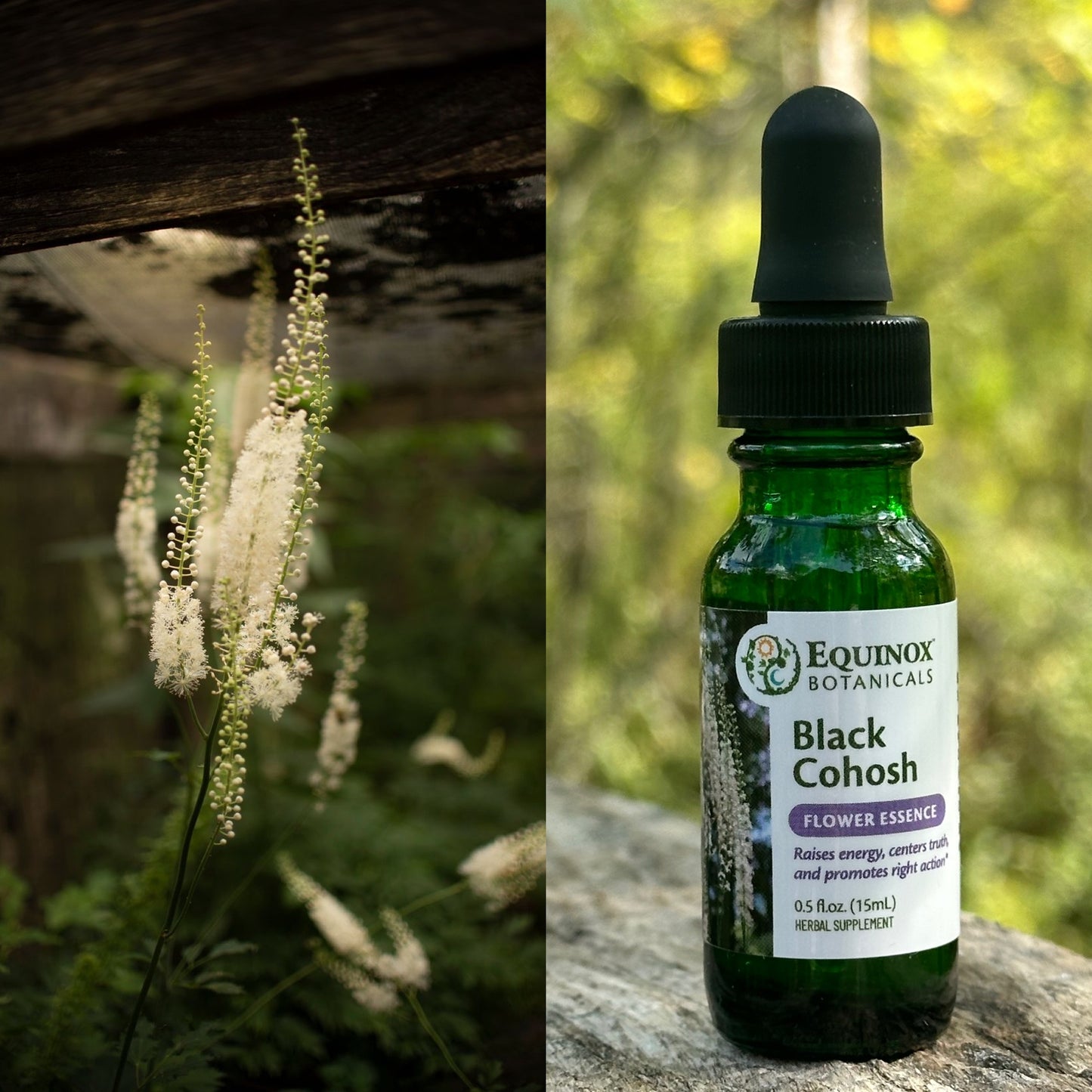 Black Cohosh Flower Essence 15mL