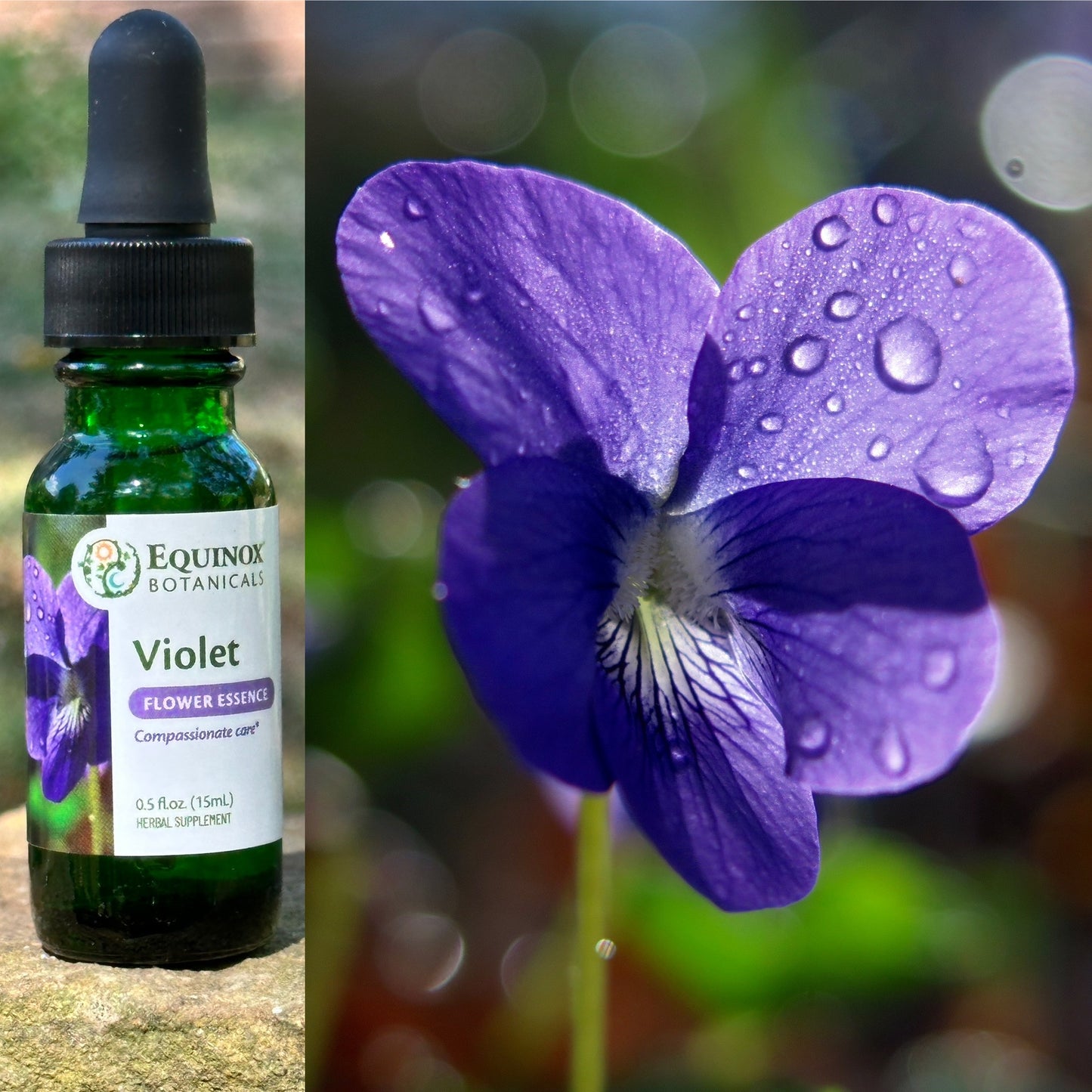 Violet Flower Essence 15mL