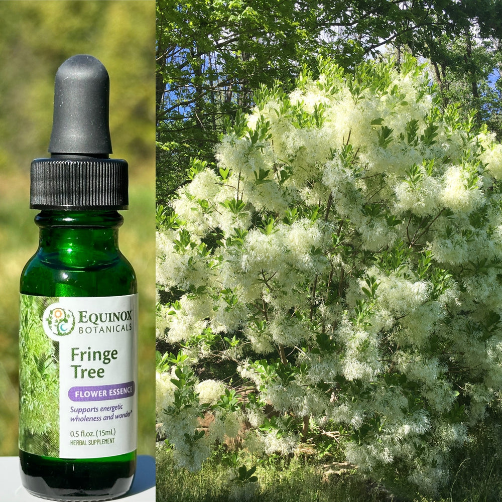 Fringe Tree Flower Essence 15mL