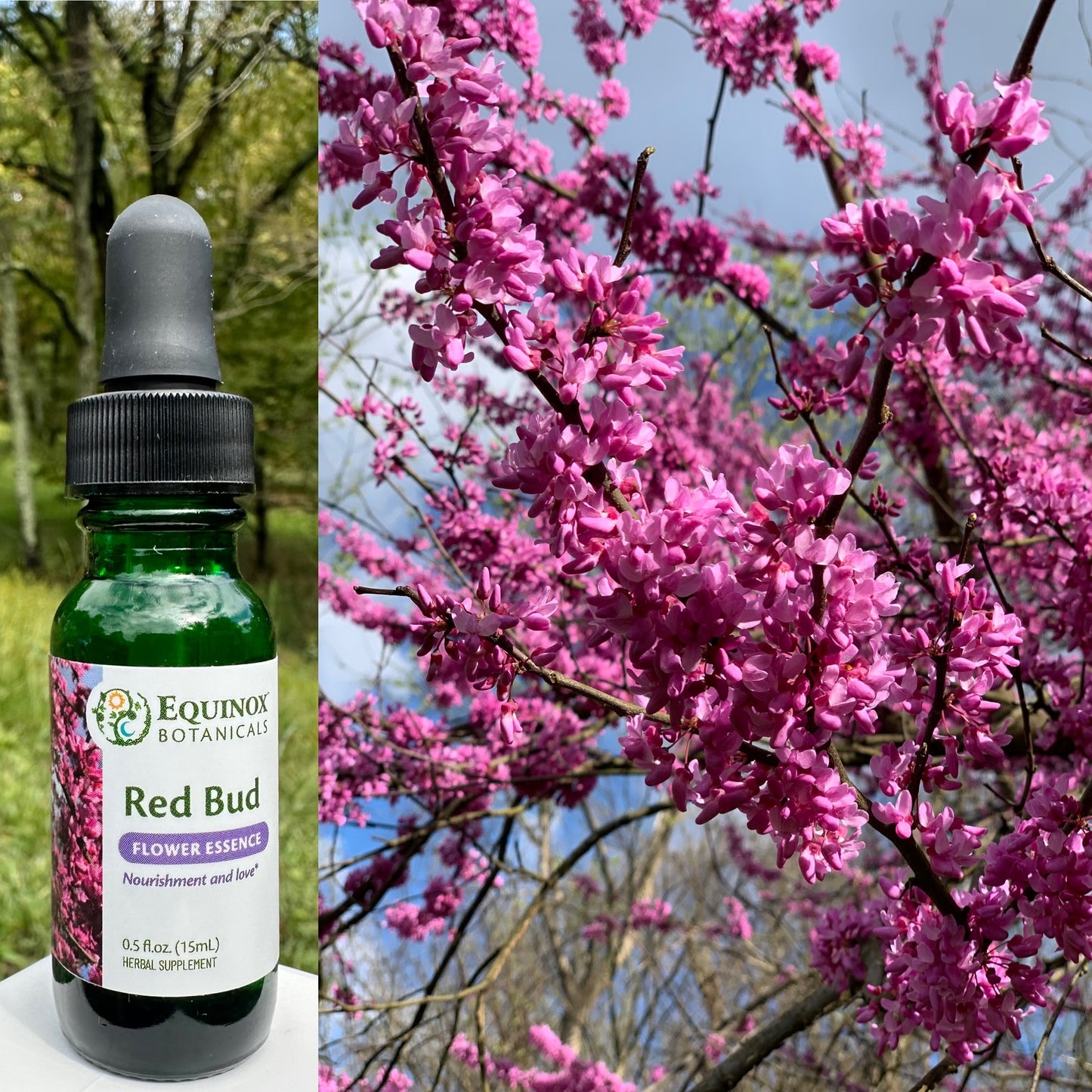 Red Bud Flower Essence 15mL