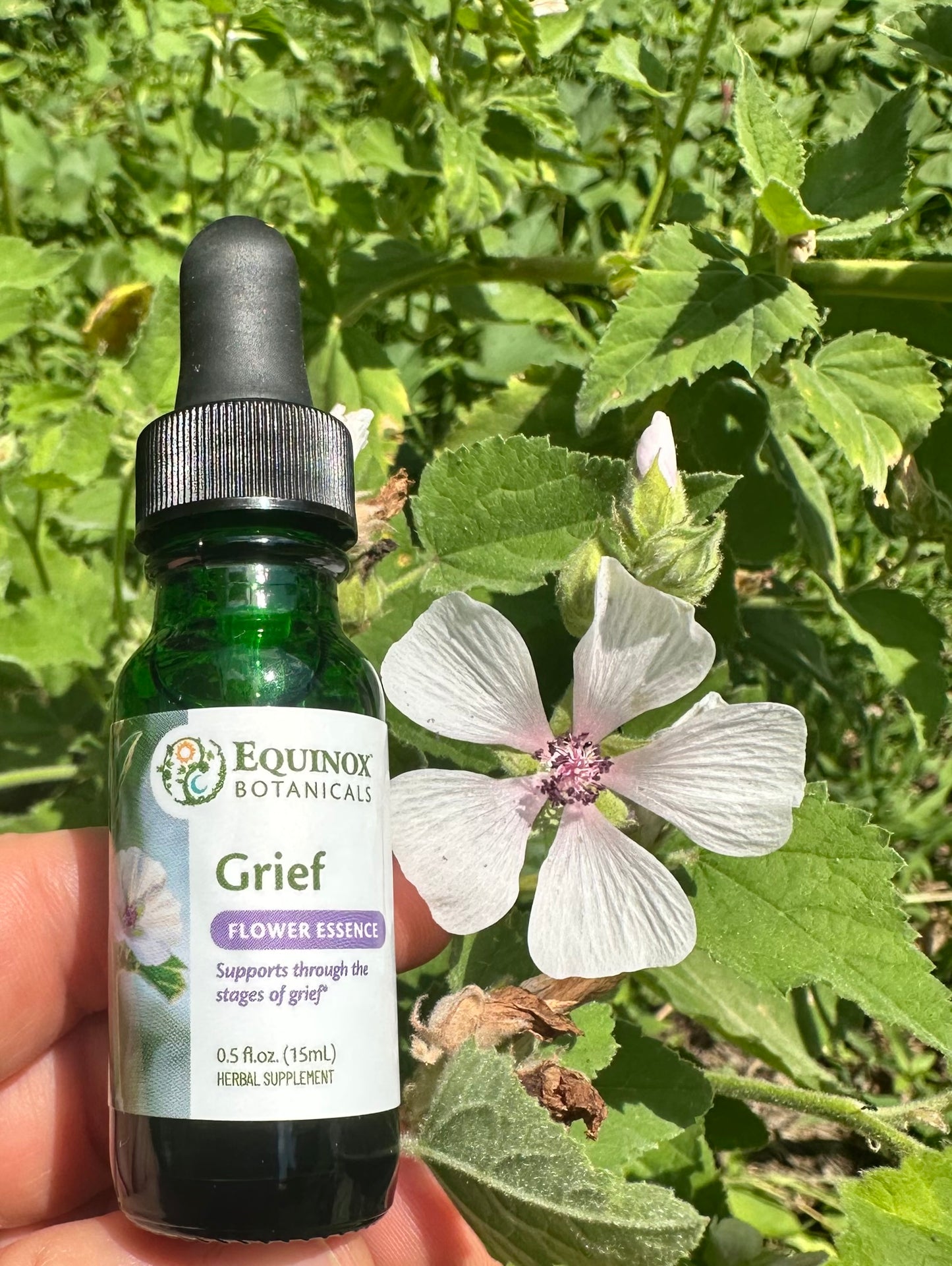 Grief Flower Essence 15 mL