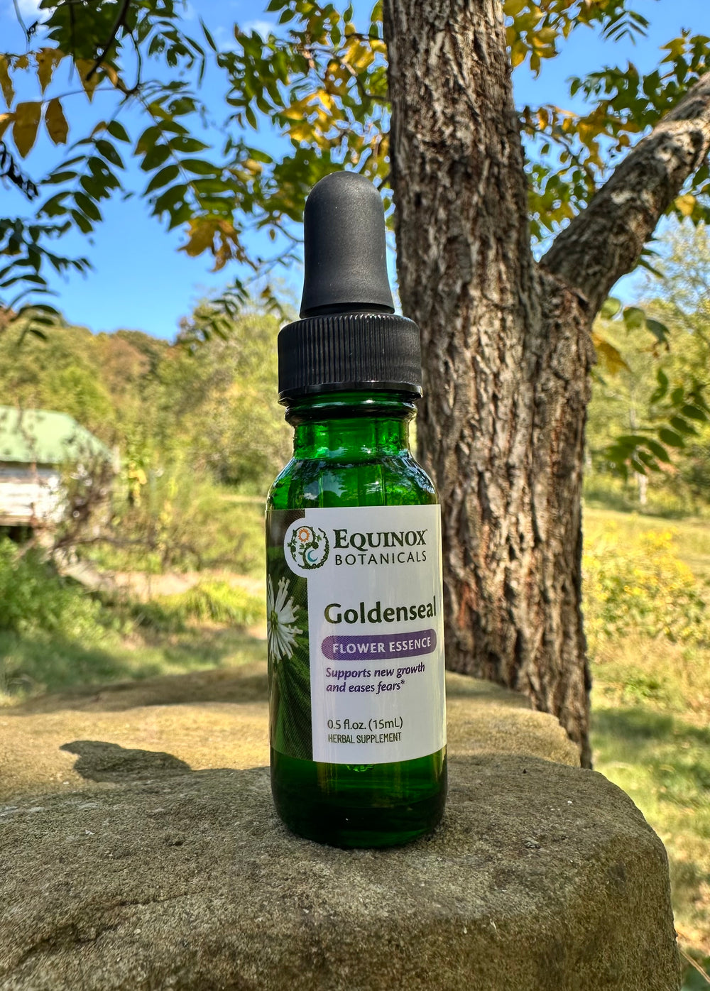 Goldenseal Flower Essence 15mL