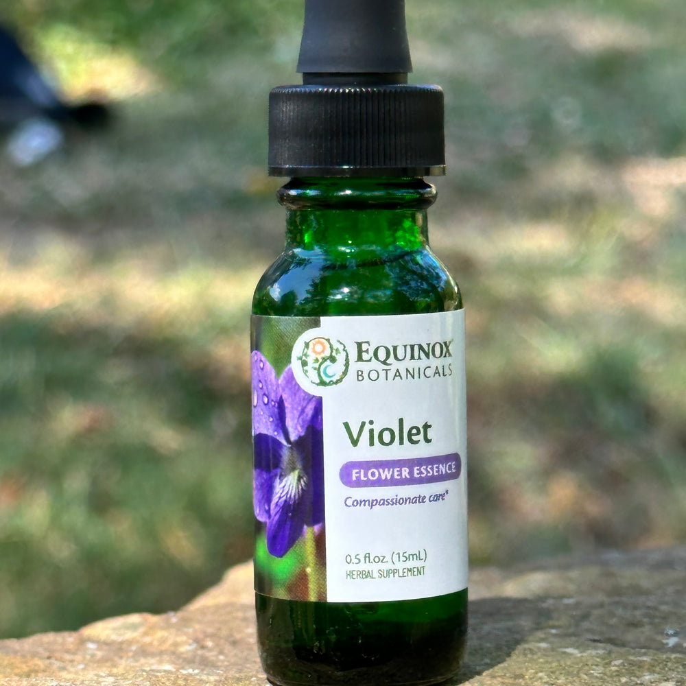 Violet Flower Essence 15mL
