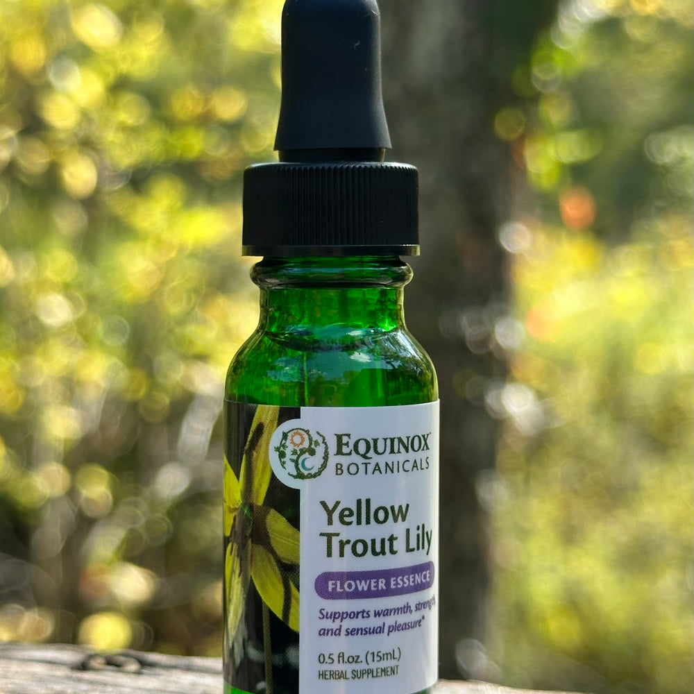 Yellow Trout Lily Flower Essence 15mL