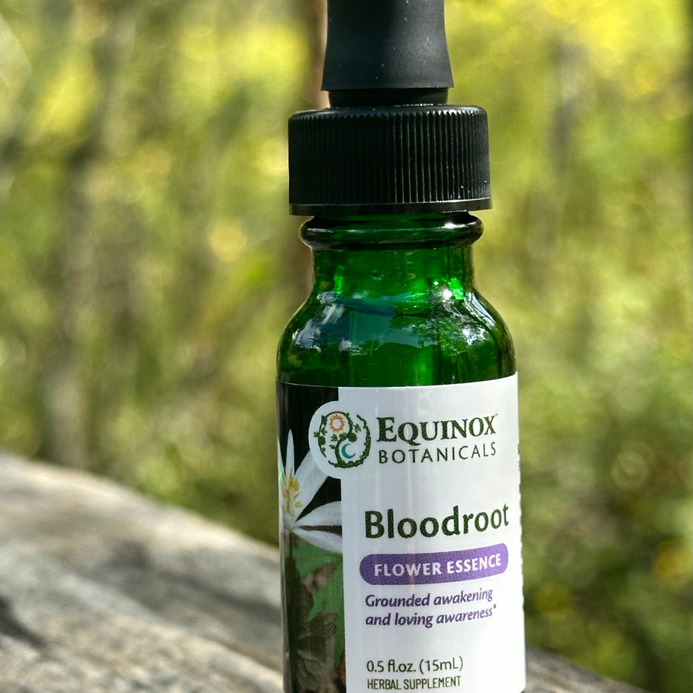 Bloodroot Flower Essence 15mL