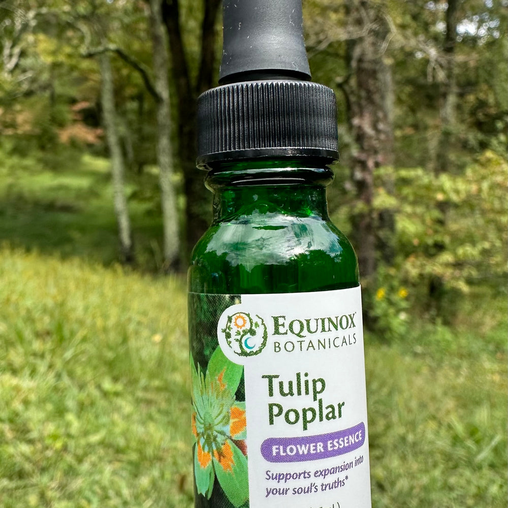 Tulip Poplar Flower Essence 15mL