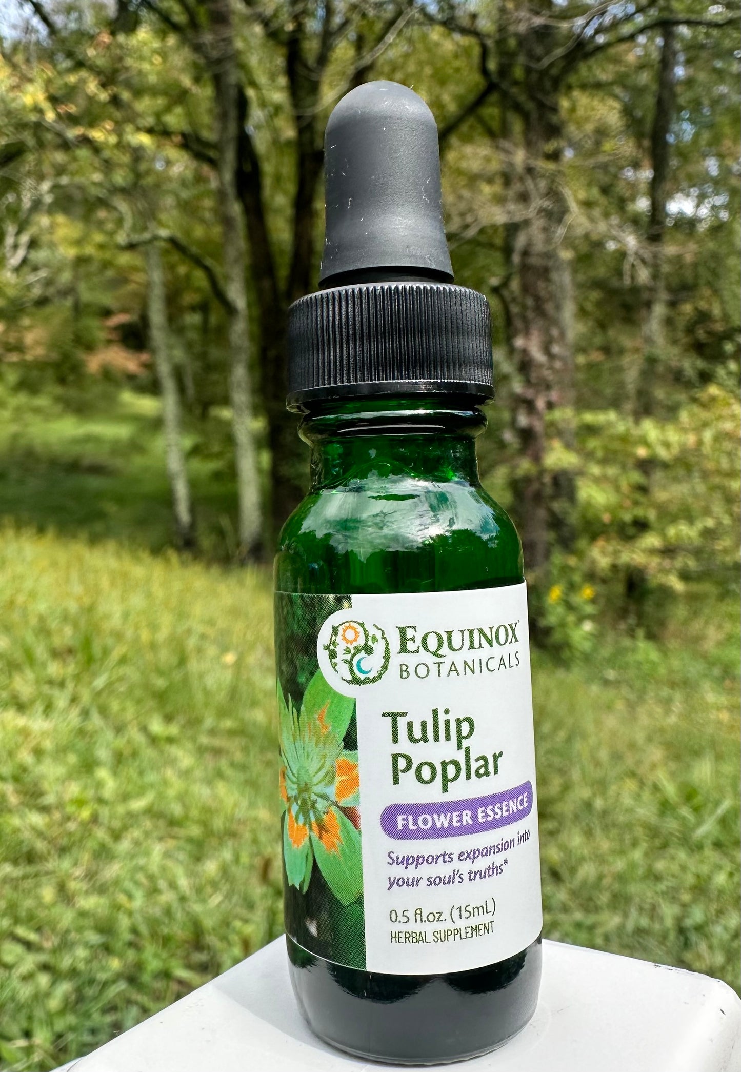 Tulip Poplar Flower Essence 15mL