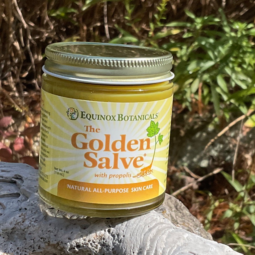 The Golden Salve - 4 oz jar