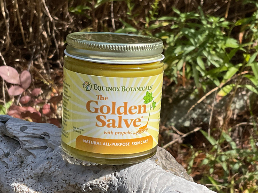 The Golden Salve - 4 oz jar