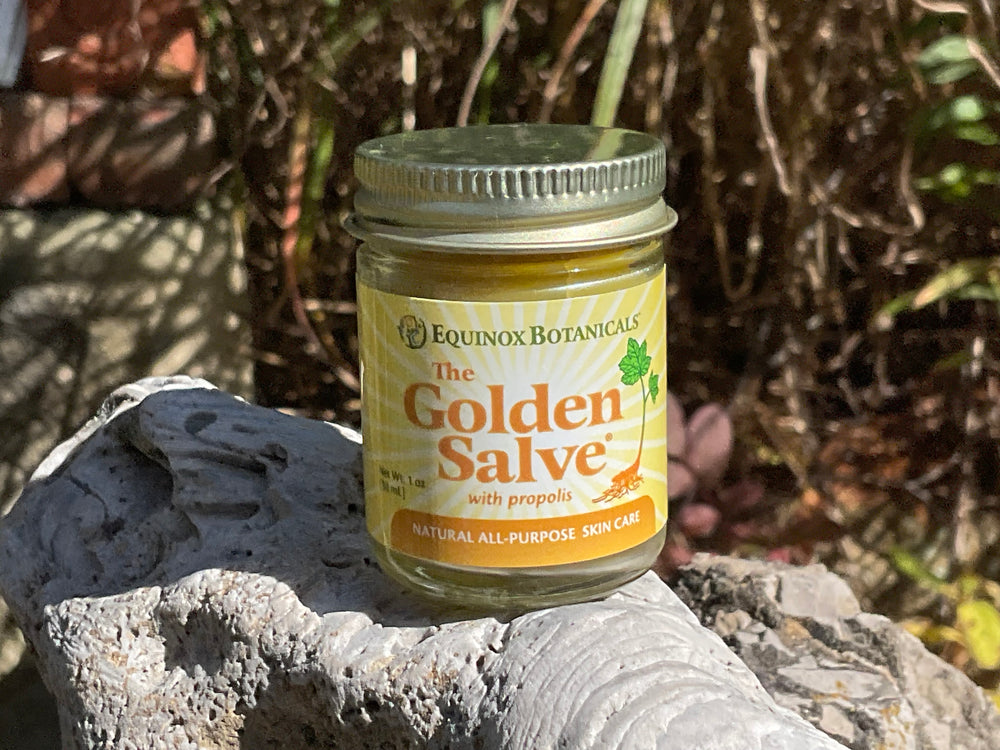 The Golden Salve - 1 oz jar