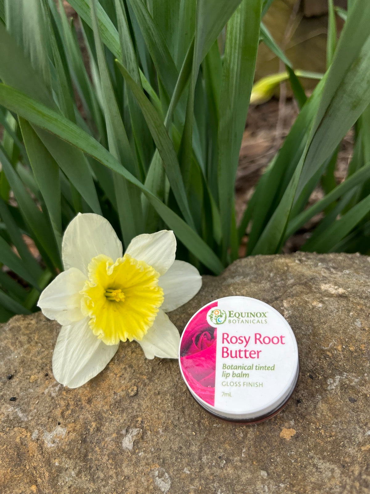 Rosy Root Butter 7  mL
