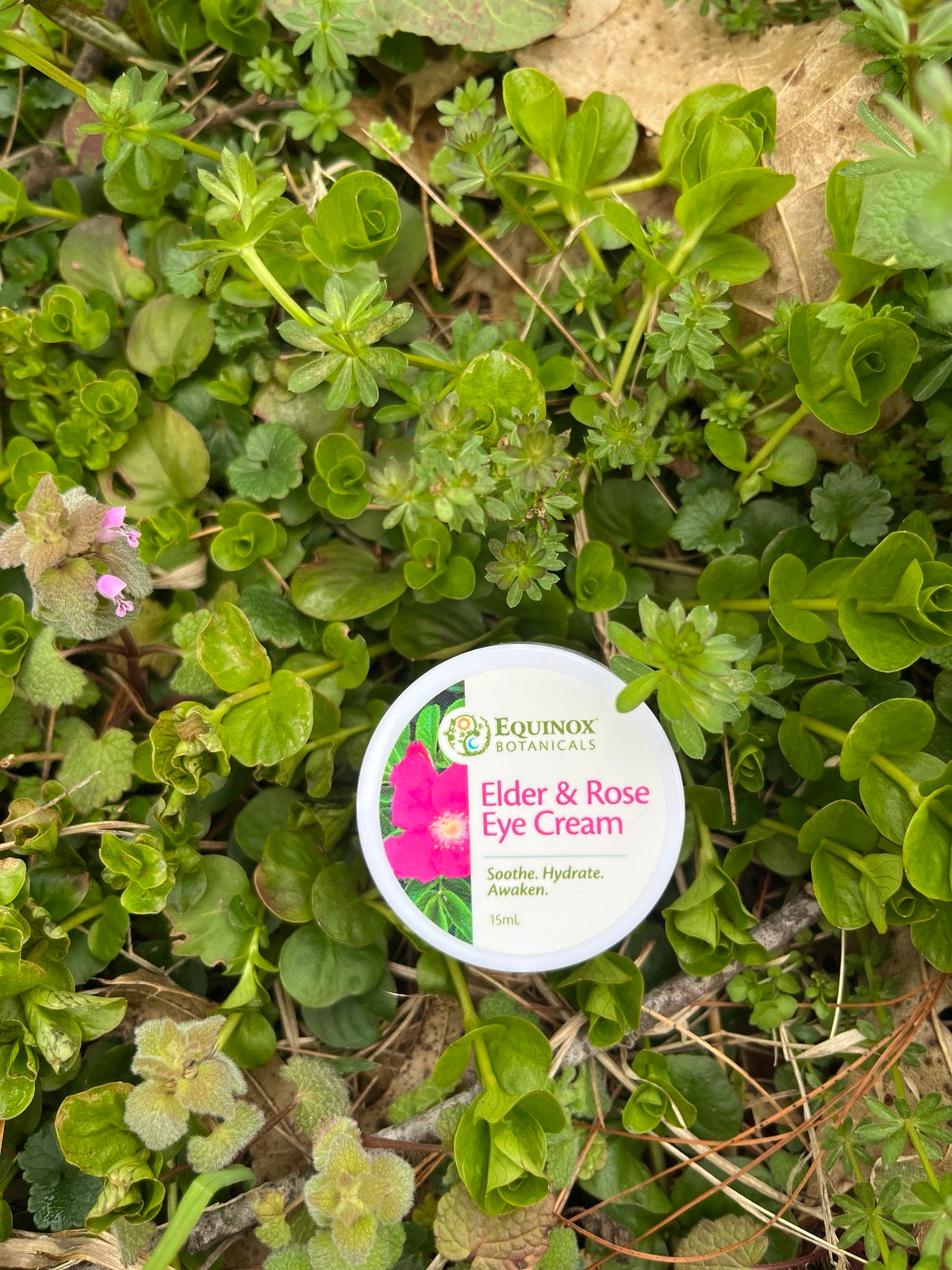 Elder & Rose Eye Cream 15 mL