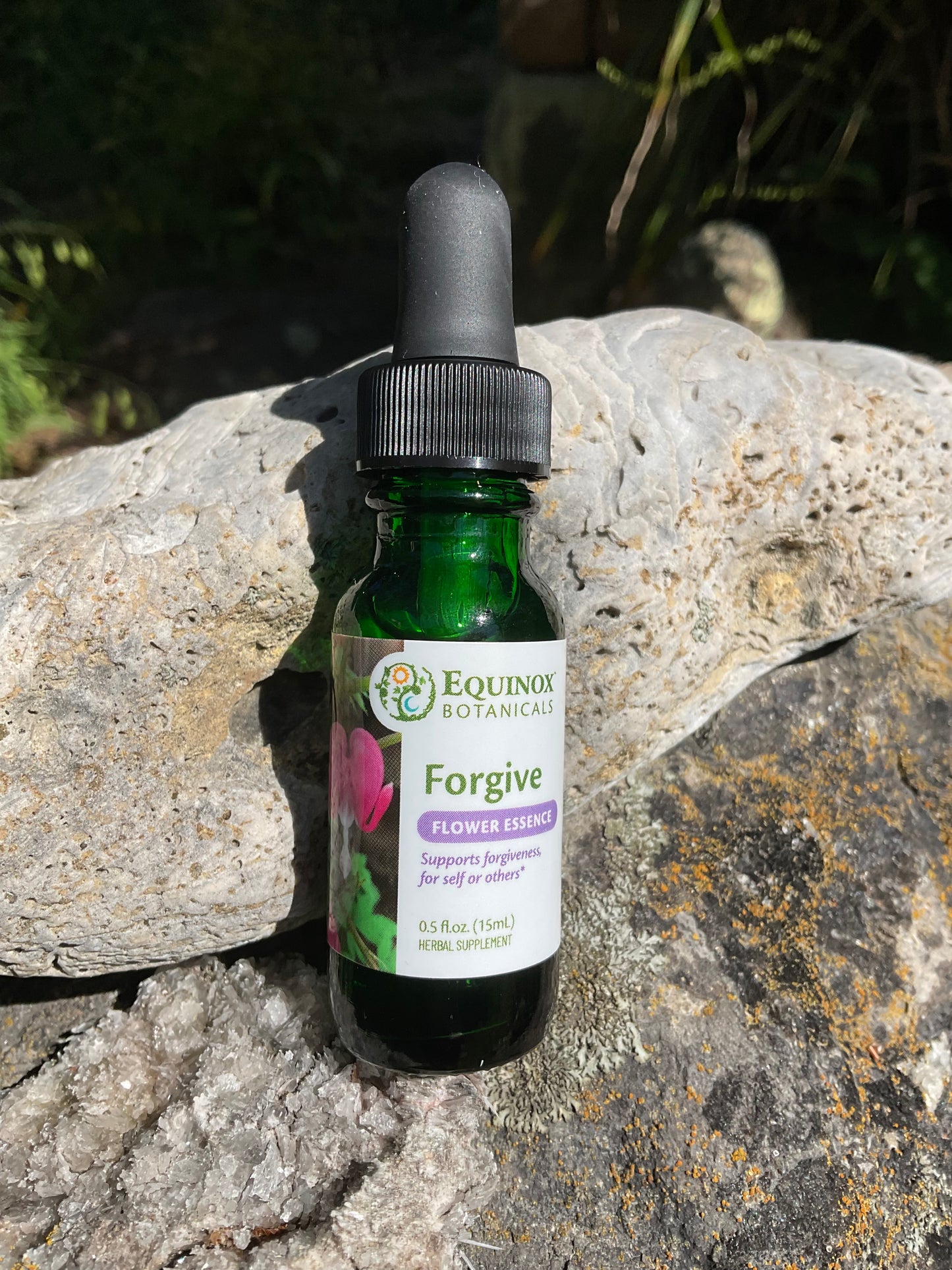 Forgive Flower Essence 15 mL