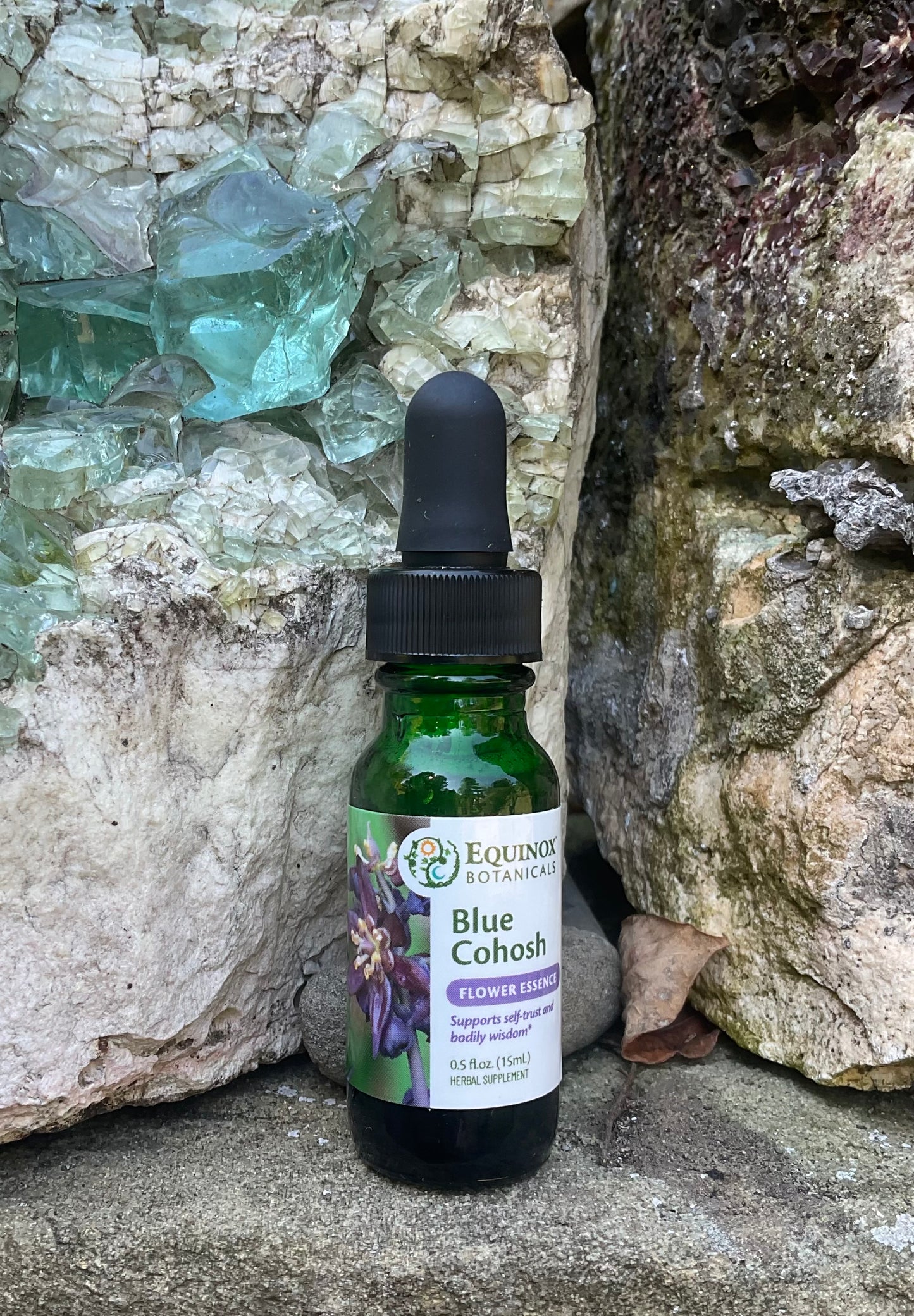 Blue Cohosh Flower Essence 15mL